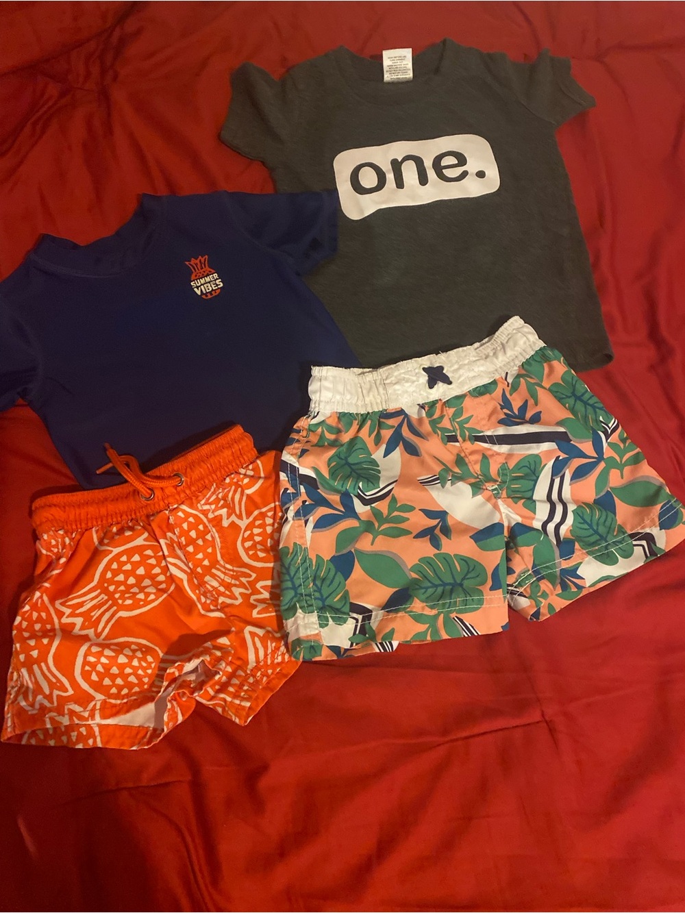 Carter's & Extreme Boys Orange Pineapple & Coral Leaf Swim Trunks S 12 Months
